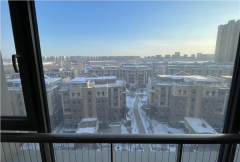 县城猛发购房新政,返乡置业卷疯了:到高速路口揽客、买房就送年猪